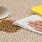 Simple Homemade Hacks to Remove Coffee Stains from Your Carpet